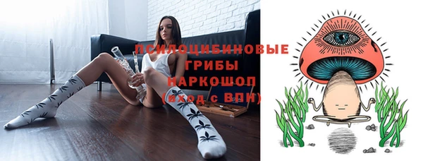 СК Кукмор