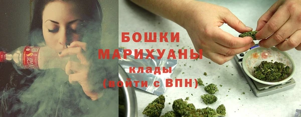 СК Кукмор