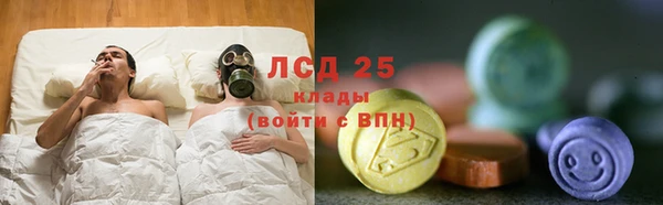 СК Кукмор
