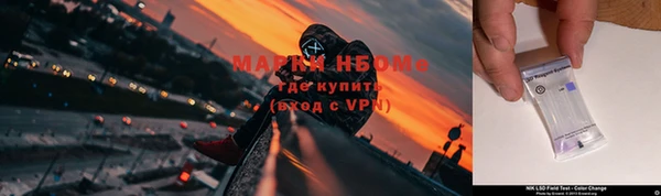 СК Кукмор